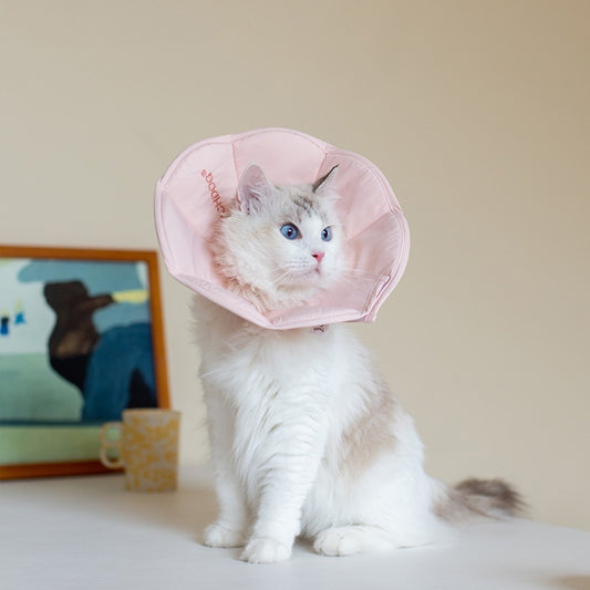 Waterproof Dog Collar for Post-Surgery Care