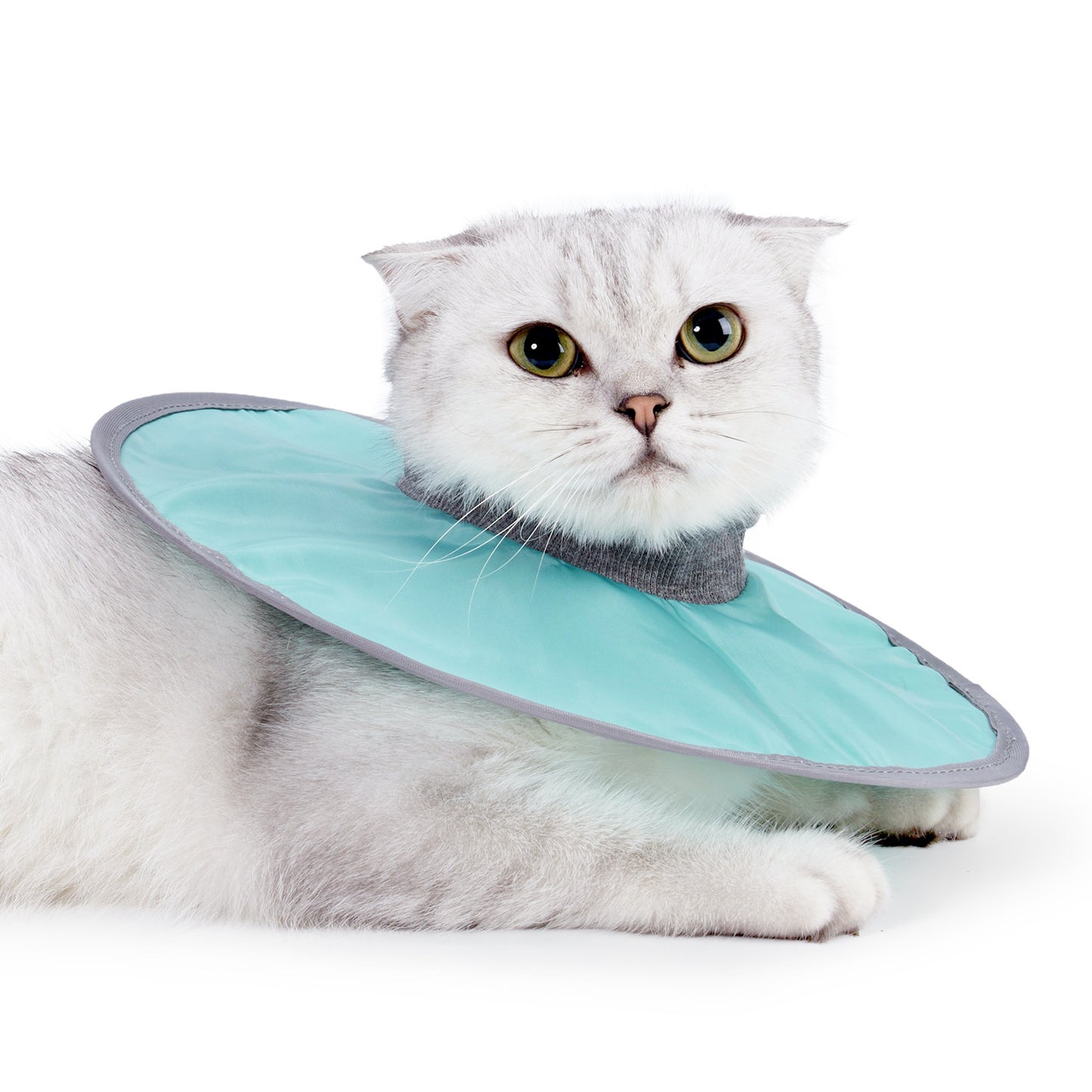 Waterproof Cat Recovery Cone Collar for Pets
