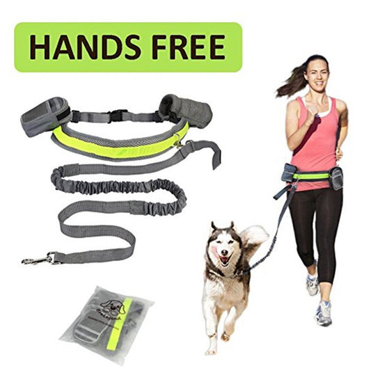 Adjustable Dog Running Leash Set
