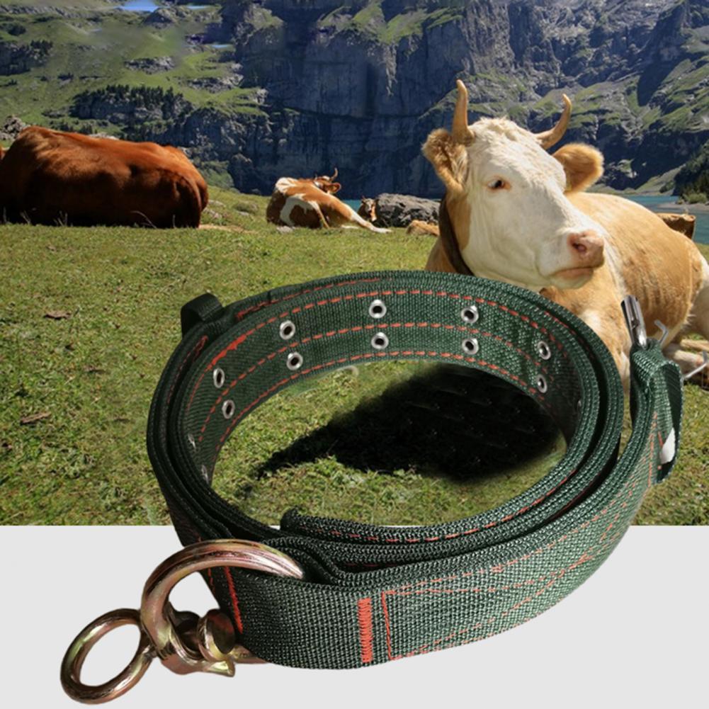 Four-Layer Nylon Thickened Bullneck Cover – Durable & Comfortable Protection for Pets | Ondaum Pet