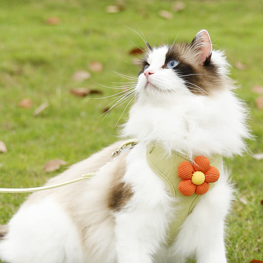 Pet Flower Hand Holding Rope Vest Chest Back