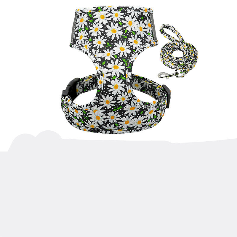 Collar and chest strap