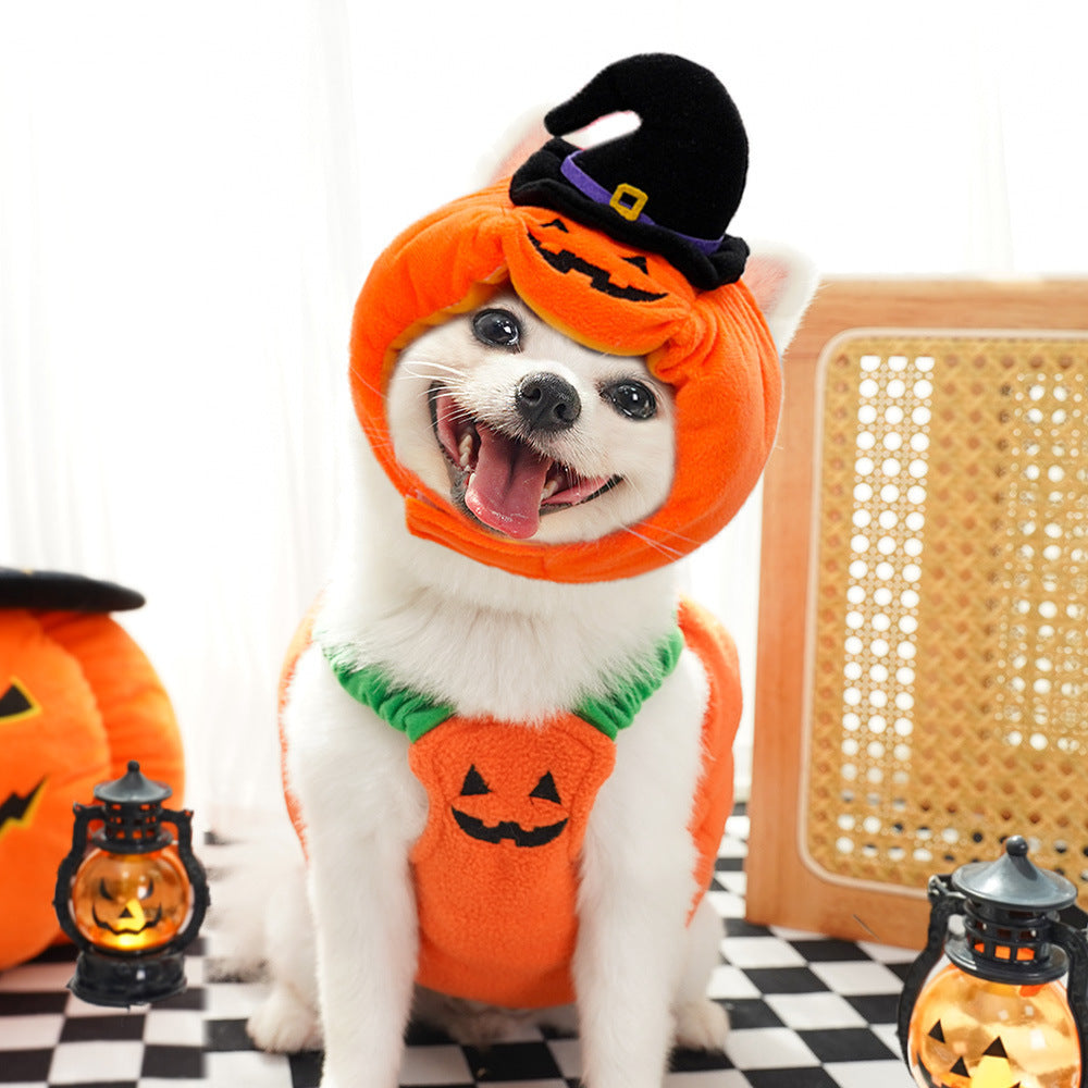Pet Hat Halloween Funny Pumpkin Hat
