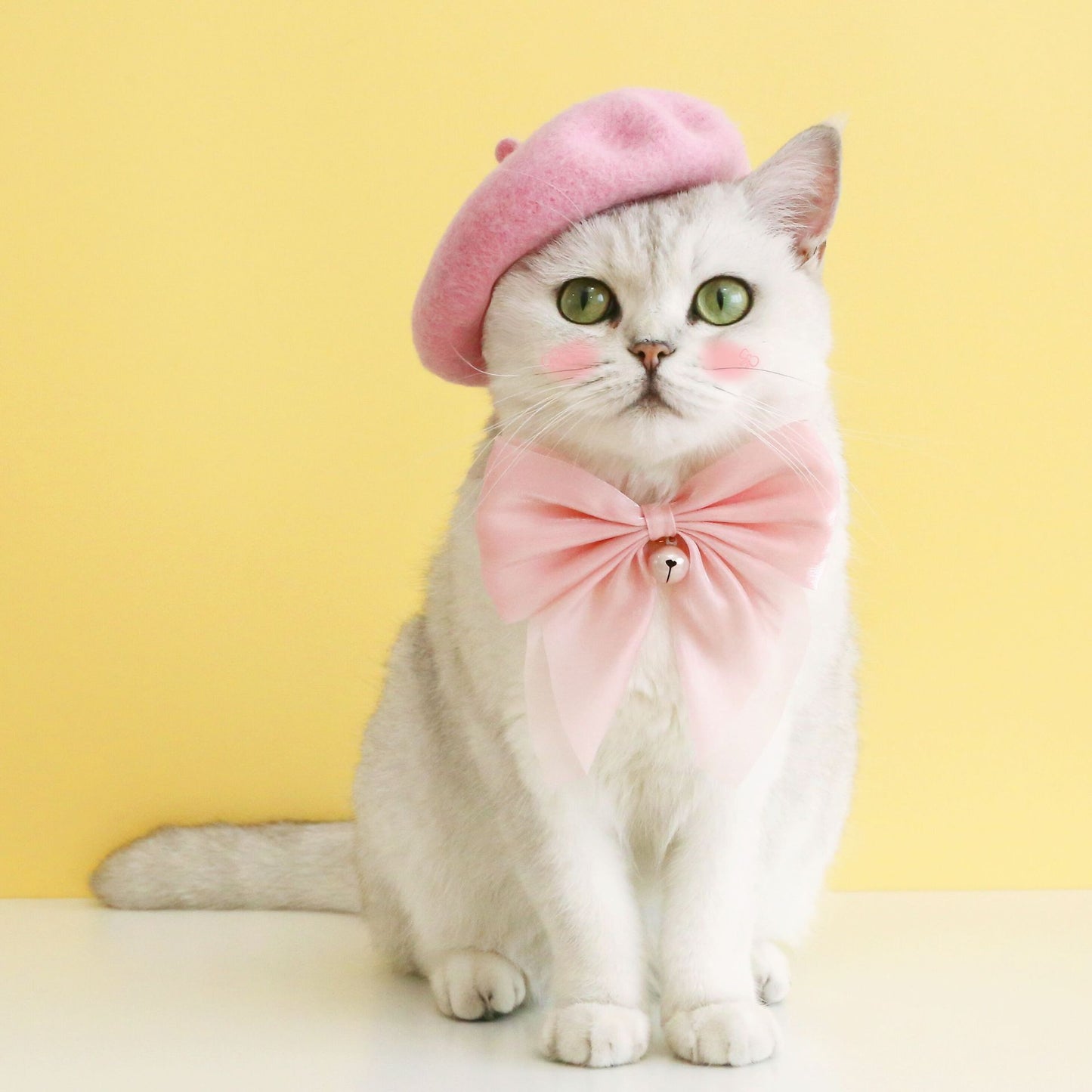 Ondaum Pet Cat Muppet Dog Bell Necklet Set – Stylish and Comfortable Accessories for Pets