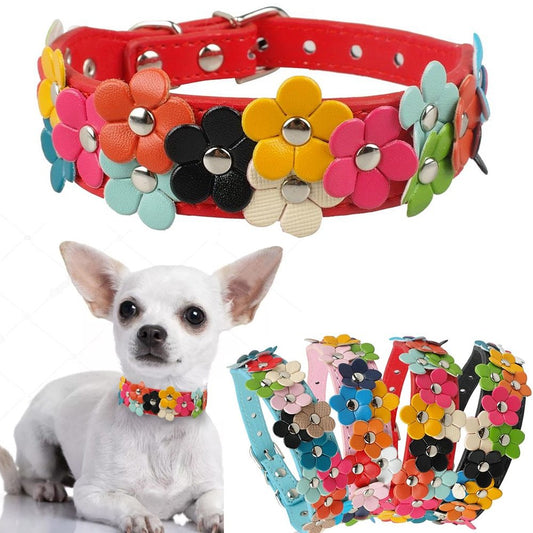 Double Row Flower Pet Collar for Dogs