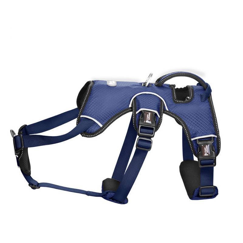 Medium sized large dog pet chest strap
