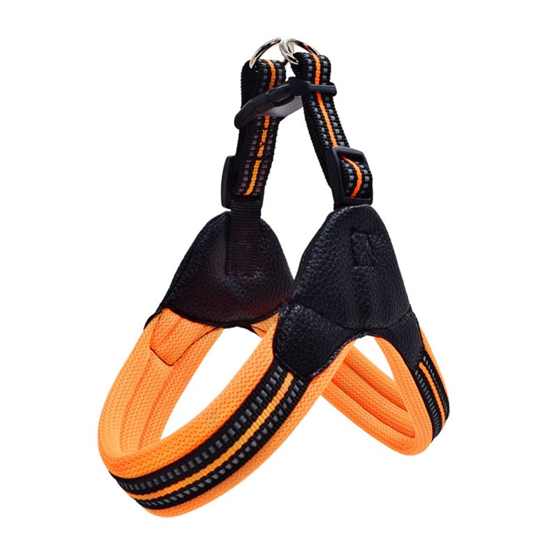 Reflective leash for dog