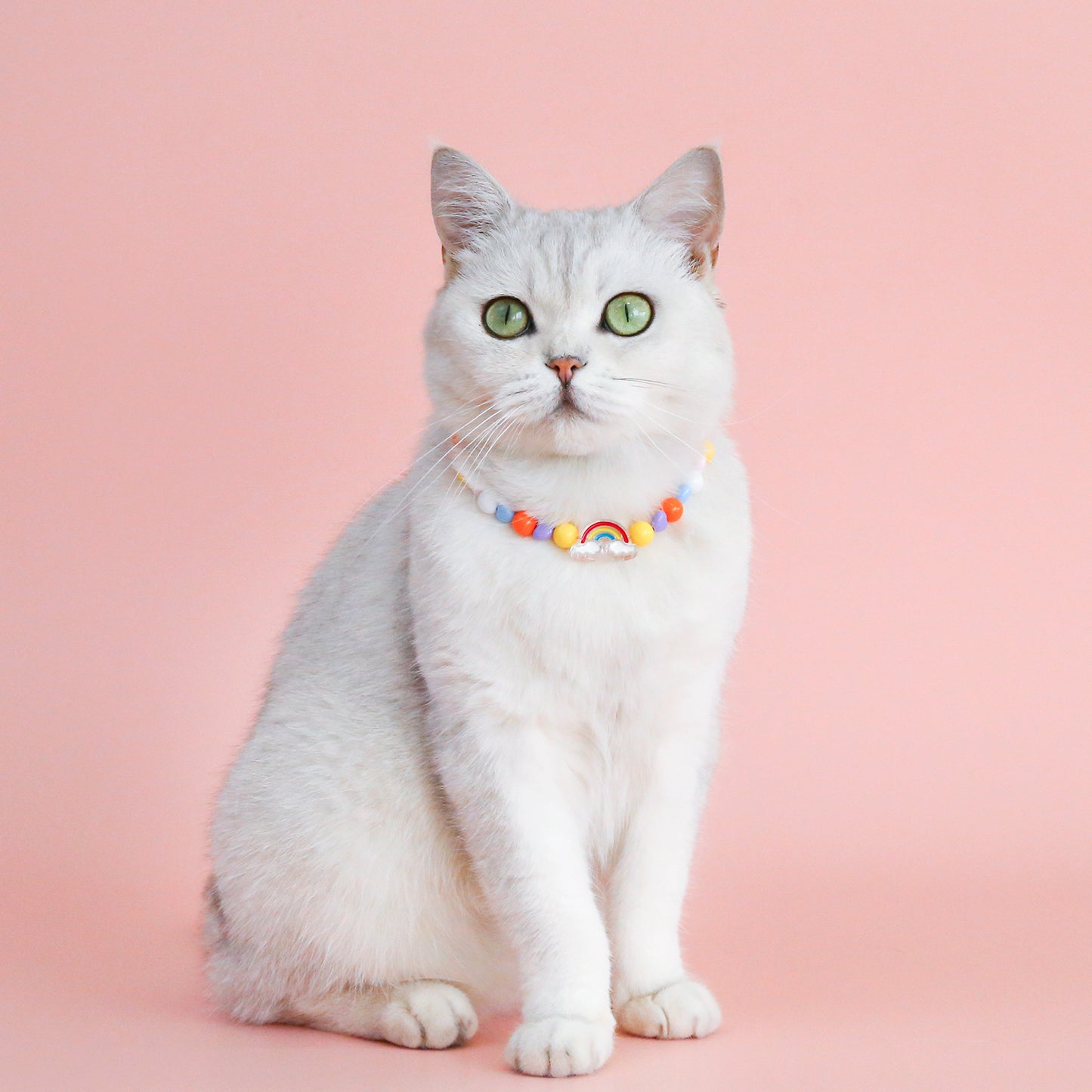 INS South Korea Colorful Pearl Pet Necklace Small Flower Rainbow Peach