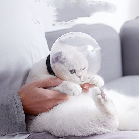 Pet Circle Cat Space Hood Dog