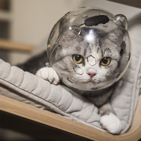 Ondaum Cat Head Cover & Protective Booties – Anti-Bite, Anti-Scratch, Anti-Licking Safety Collar for Grooming & Bathing