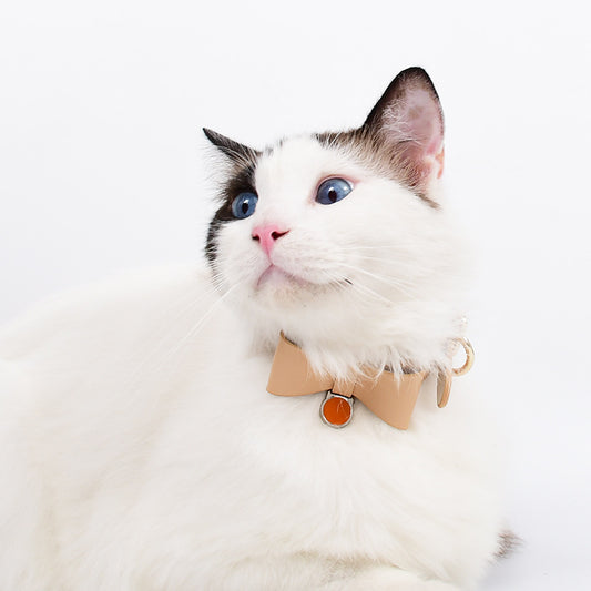 Luxury Leather Cat Collar for Stylish Pets