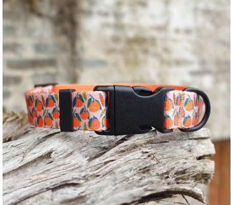 Nylon Ribbon Flower Pet Collar for All Seasons