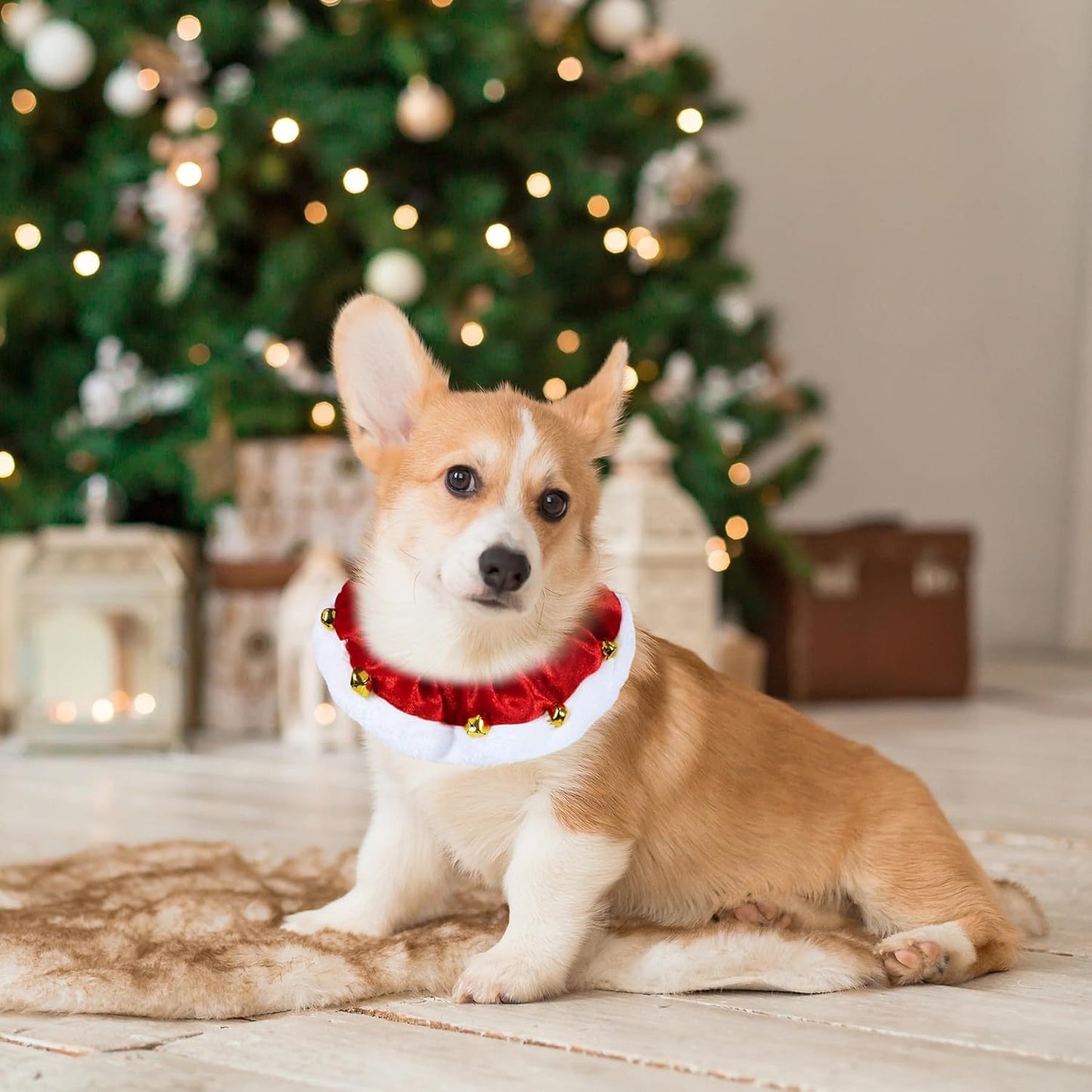 Christmas Dog Collar with Bells for Pets