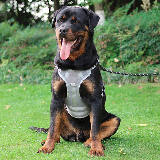 Pet Tactical Chest And Back Vest