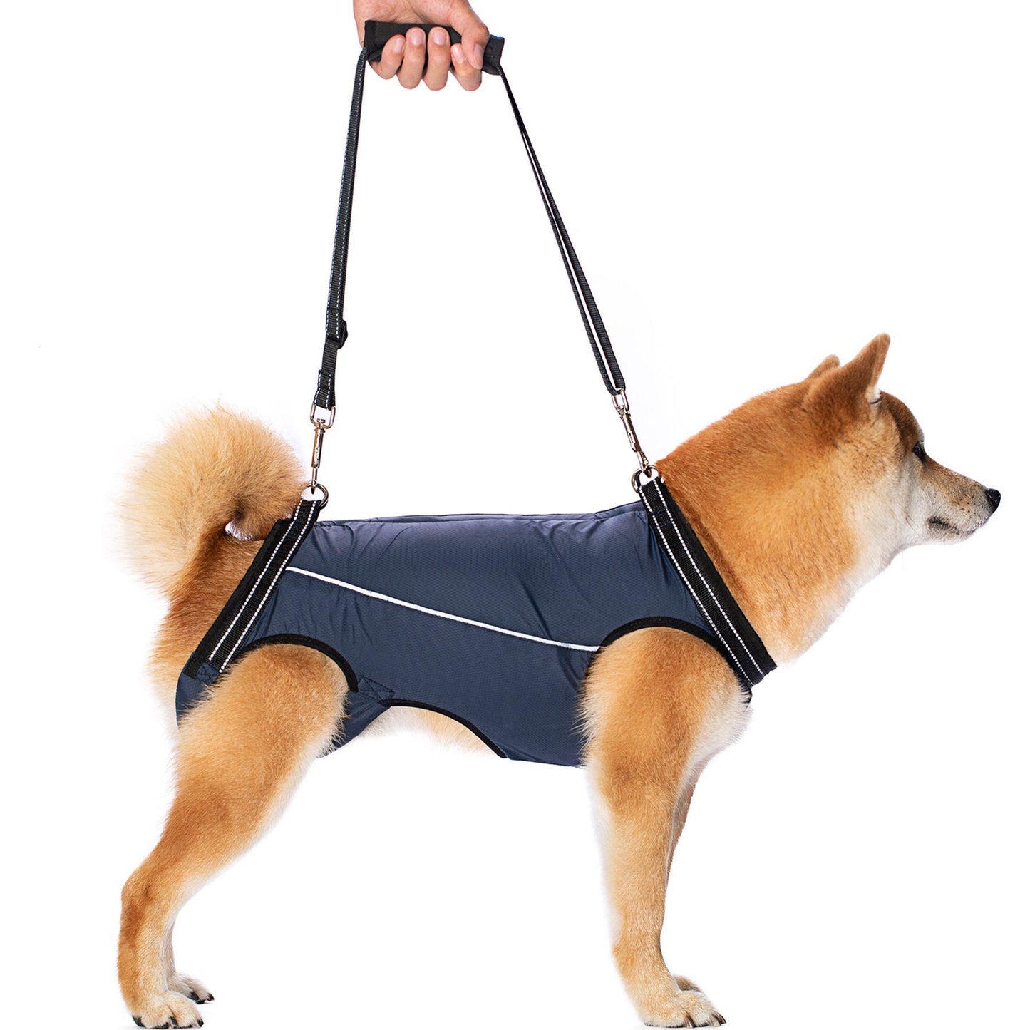 Elderly And Disabled Dogs Auxiliary Belt Auxiliary Clothing