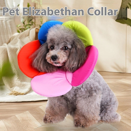 Stylish Dog Collar with Floral Patterns