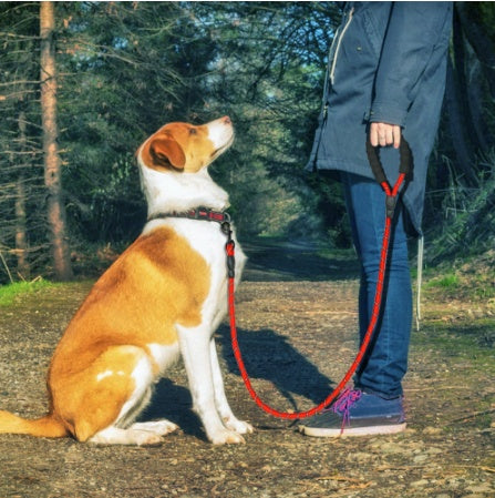 Reflective Dog Leash - Nylon Rope for Walking & Training, Small to Large Dogs