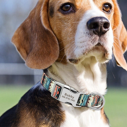 Adjustable Dog Collar with Secure Buckle Design