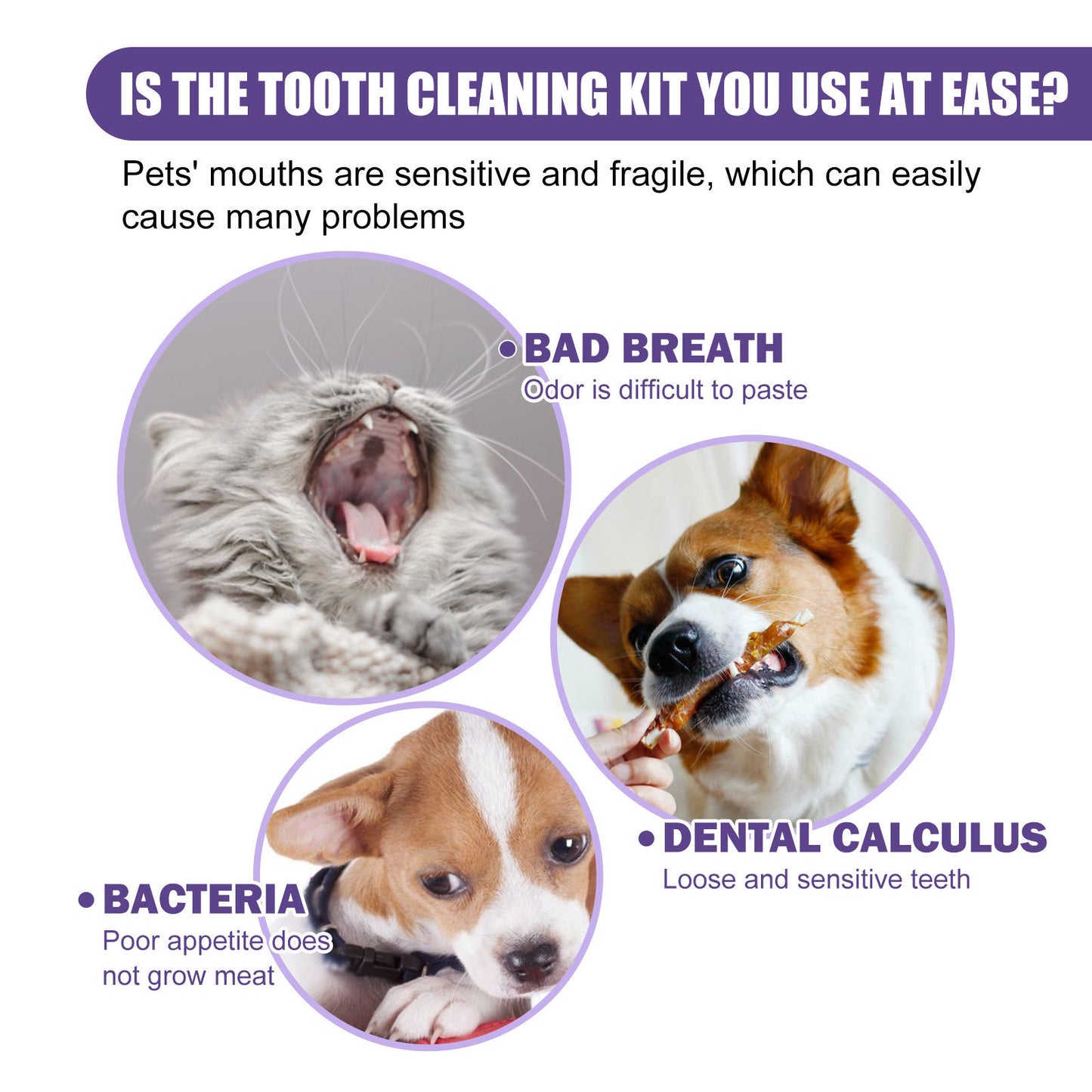 Pet Cleaning Gloves Wet Wipes Pet Gum Care Gentle Cleaning Teeth Remove Tartar Odor