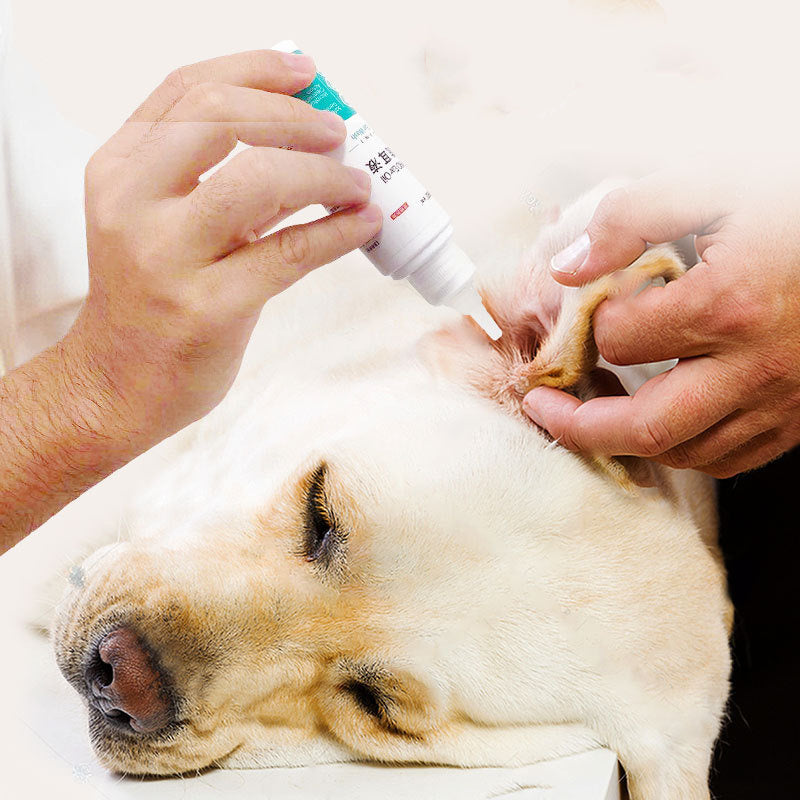 Dogs Use Ear Cleaning To Remove Smelly Ear Mites