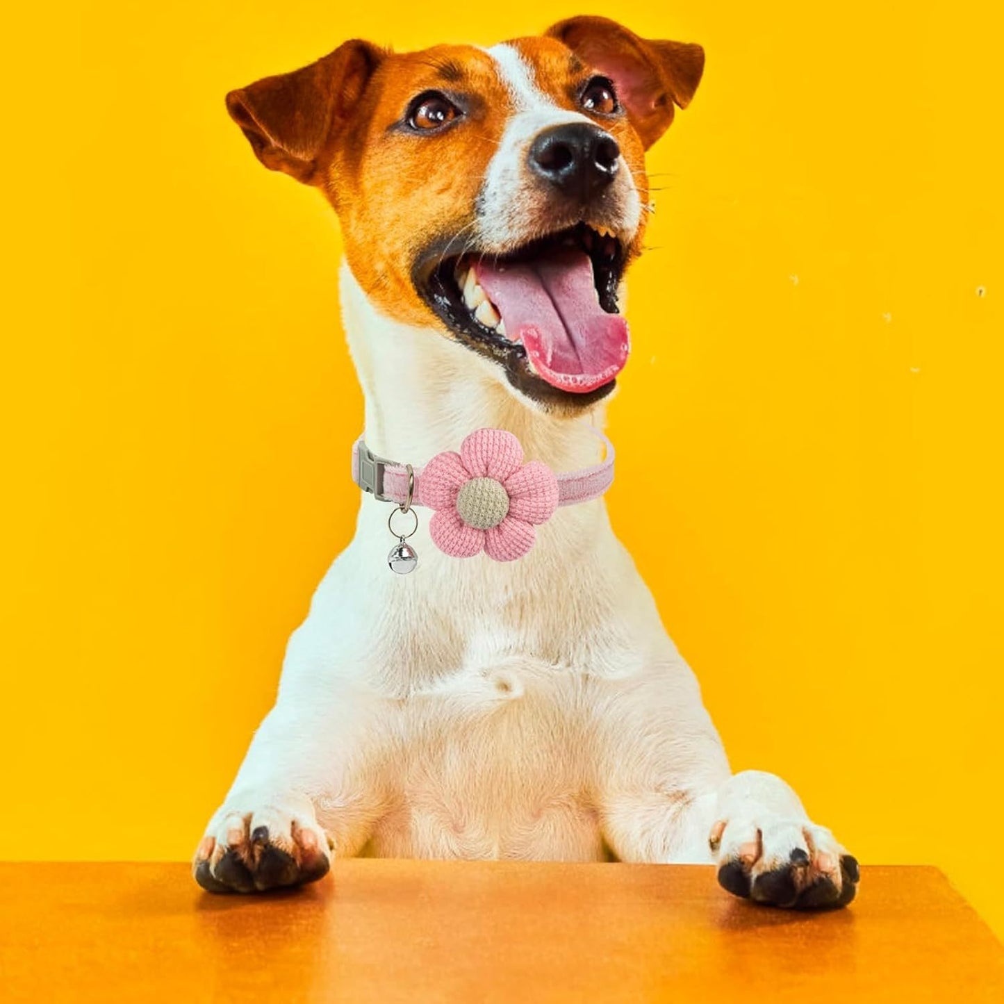 Floral Dog Collar with Bell for Small Dogs