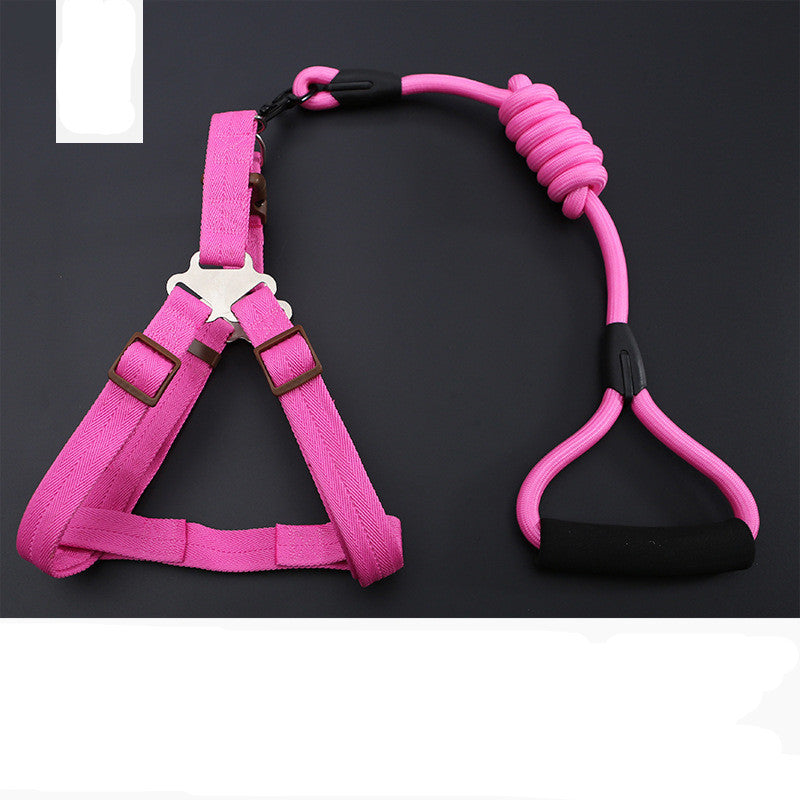 Dog Leash Golden Retriever Teddy Chest Strap Collar