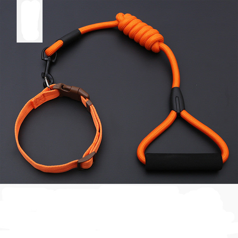 Dog Leash Golden Retriever Teddy Chest Strap Collar