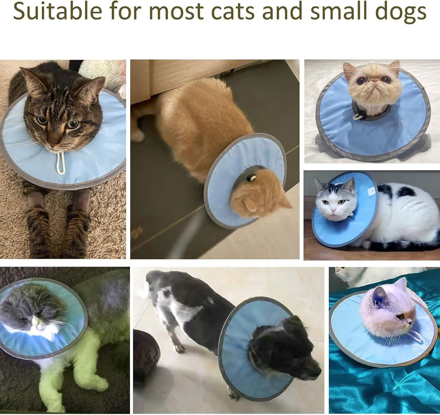 Waterproof Cat Recovery Cone Collar for Pets