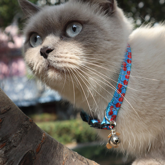 Arminger's New Pet Webbing Fruit Cat Collar