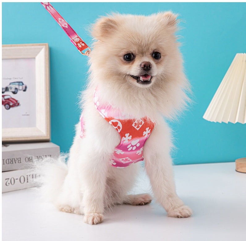 Dog Traction Rope Dog Traction Spot Hot Sale Jarre Aero Bull Schnauzer Fashion Pet Harness