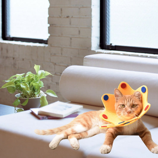 Adjustable Postoperative Cat Recovery Collar