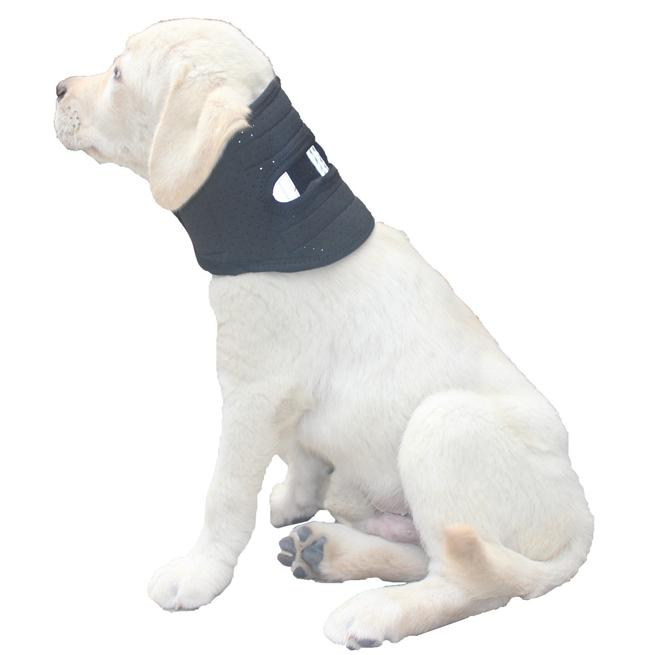 Ondaum Pet Dog Neck Brace – Supportive Cervical Collar for Injury Recovery & Stability