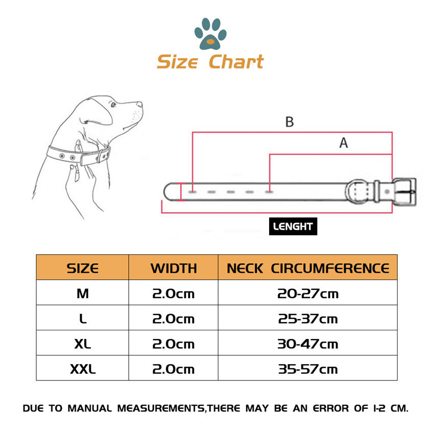 Dog collar traction rope collar torn neck collar