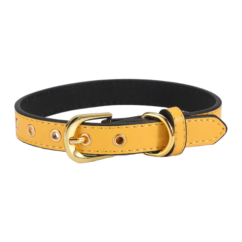 Ondaum Pet PU Collar with Gold Buckle