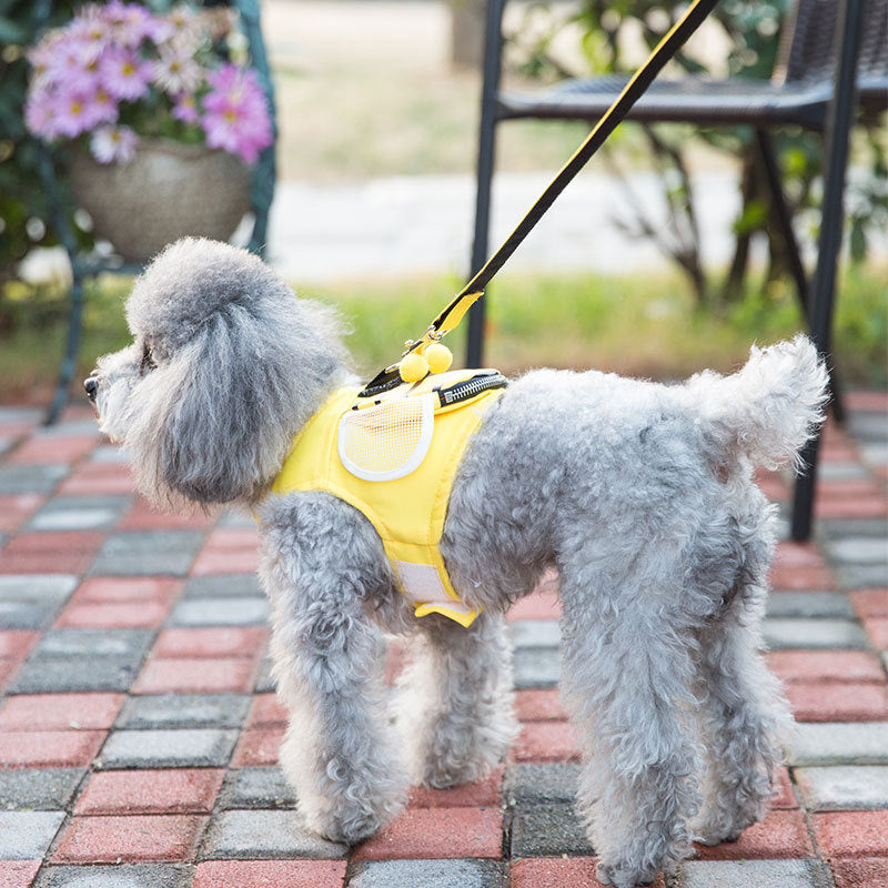 Cute bee vest hand holding rope