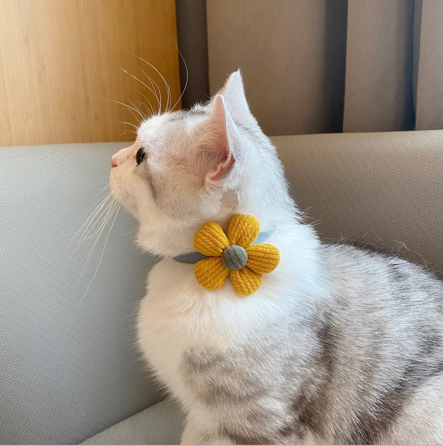 Kitten Floral Bow Tie Collar