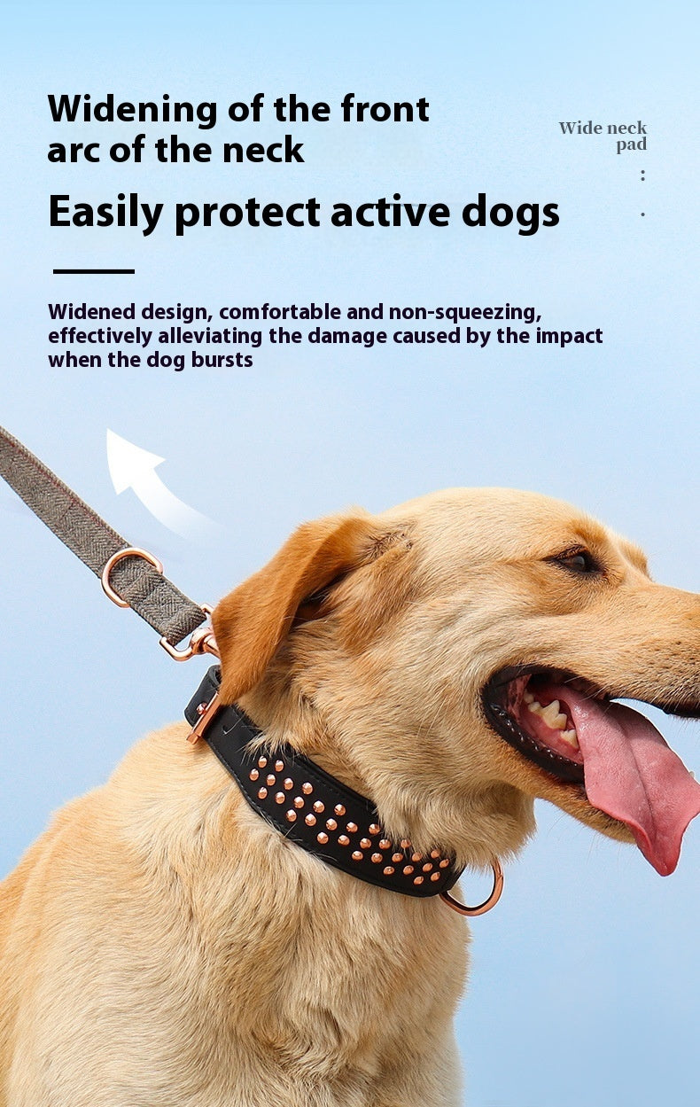 Durable Leather Anti-Bite Dog Collar