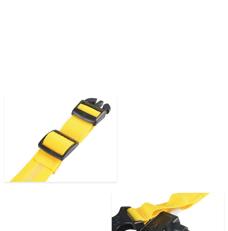 Adjustable LED Dog Collar - Nylon, Glow-in-Dark, USB/Battery Options