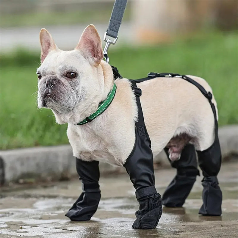 Waterproof Adjustable Dog Boots – Ultimate Paw Protection for Outdoor Adventures