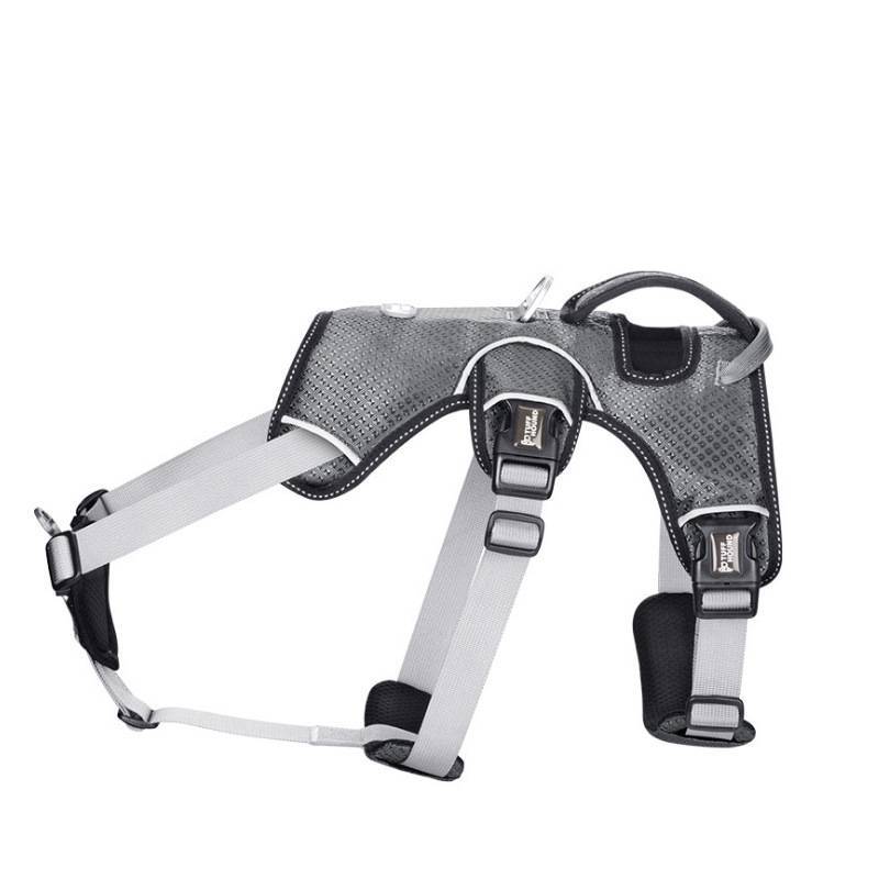Medium sized large dog pet chest strap