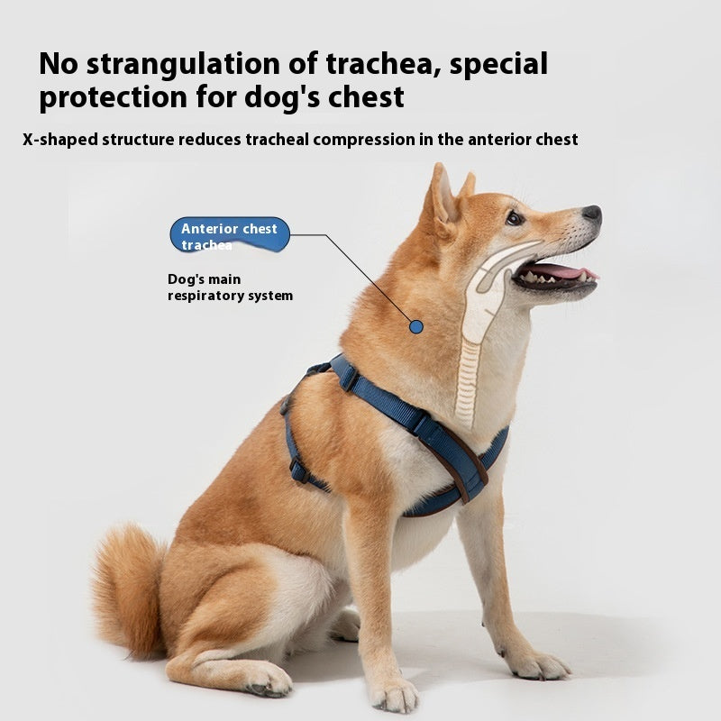 Dogs X Chest-back Pet Puppy Corgi And Shiba Inu Hand Holding Rope