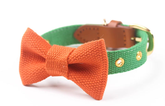 Canvas Hand-Held Rope & Leather-Stitched Collar Set – Durable & Stylish Pet Accessory