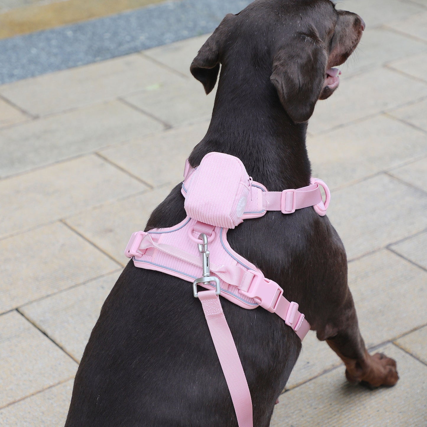 Pink Corduroy Pet Walking Set Bundle