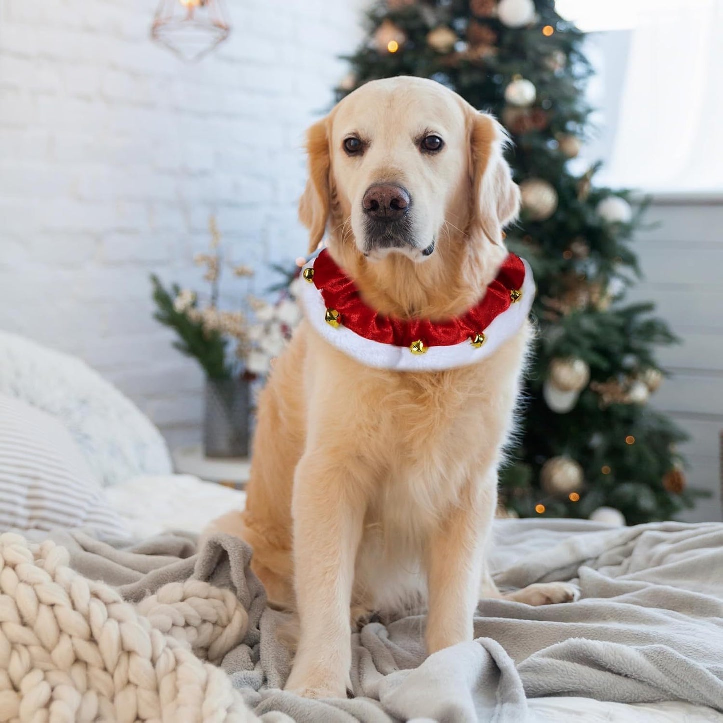 Christmas Dog Collar with Bells for Pets