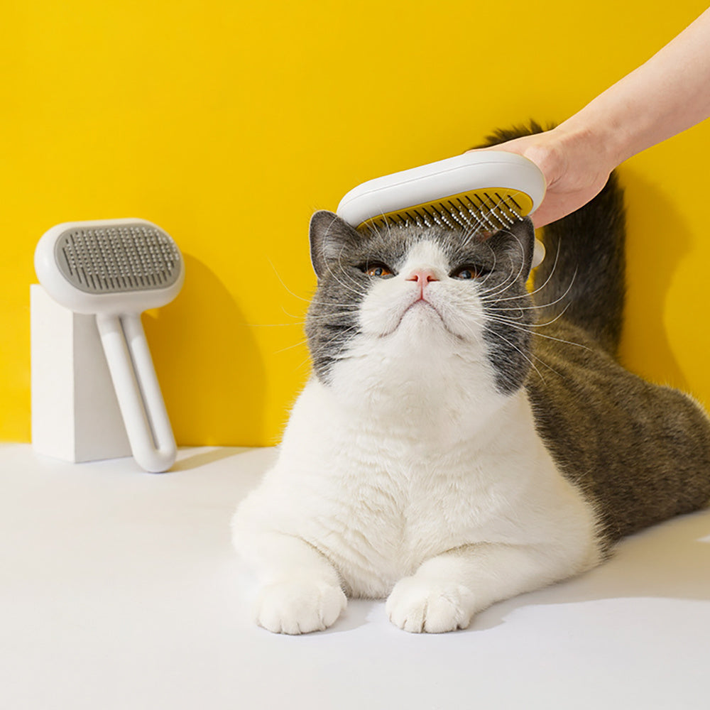 고양이 브러시, 개 브러시, 애완동물 털 세척 브러시, 애완동물 미용 고양이 개 브러시, 애완동물 빗-고양이 빗 새끼 고양이 마사지용 느슨한 털 제거-고양이 미용 브러시 긴 짧은 털 고양이 개 애완동물 브러시