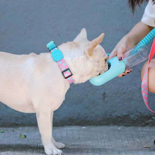 Explosion-Proof Nylon Pet Collar for Safety