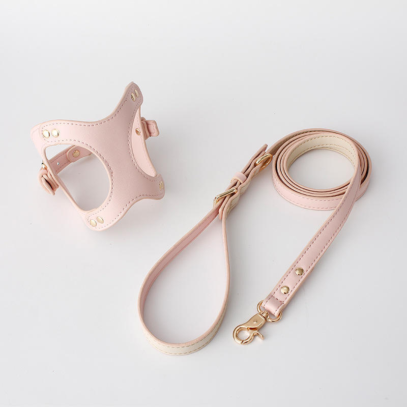 Fashion Vest Type Traction Rope For Walking The Dog