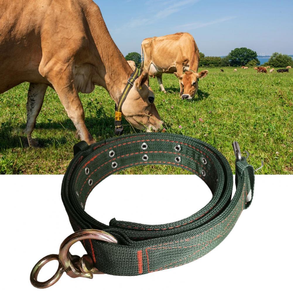 Four-Layer Nylon Thickened Bullneck Cover – Durable & Comfortable Protection for Pets | Ondaum Pet