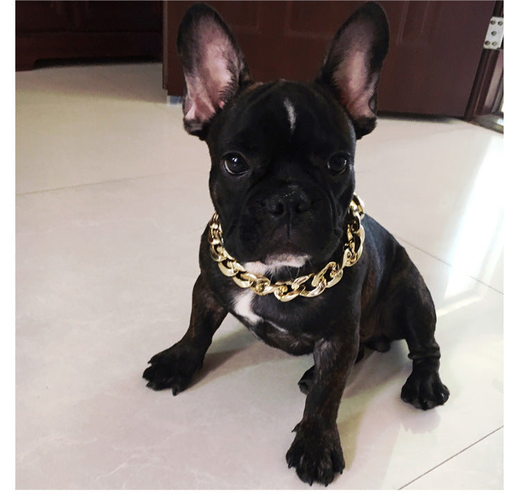 Ondaum Gold Color Chain Buckle Dog Collar – Stylish Pet Necklace Ornament for Small and Medium Dogs