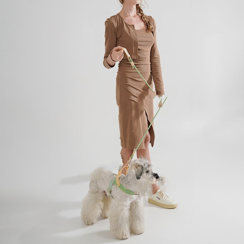 Medium-Sized Dog Safety Rope Leash Description